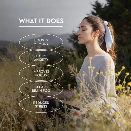 VERSUS Ashwagandha & Ginseng 90 Capsules SkinStash