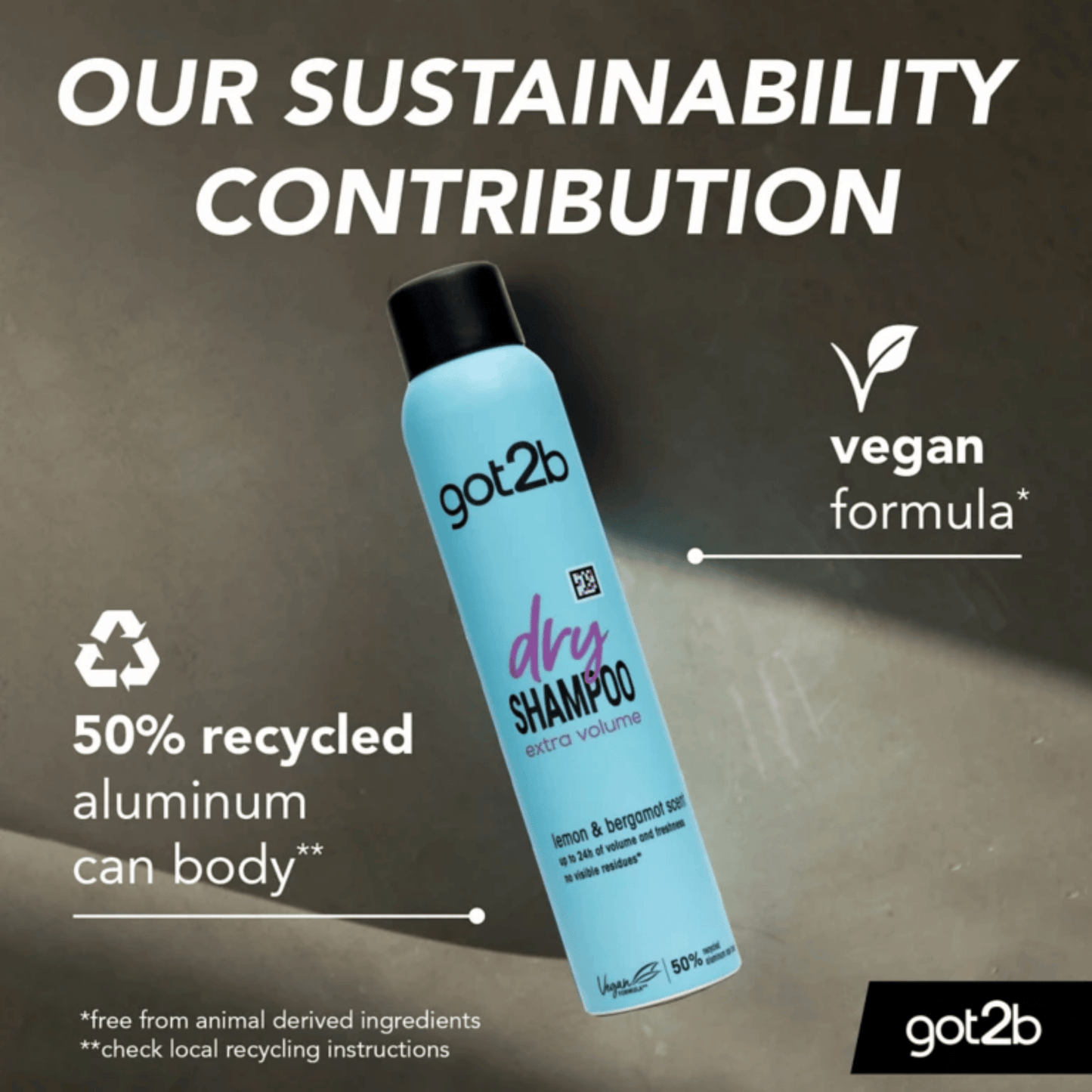 Got2b Dry Shampoo Extra Volume Dry Shampoo (200ml) SkinStash