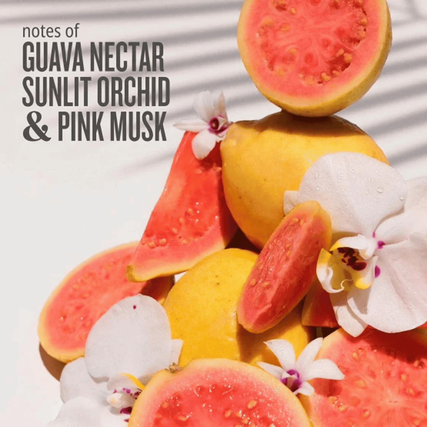 Sol De Janeiro Brazilian Crush Cheirosa 48 Perfume Mist SkinStash