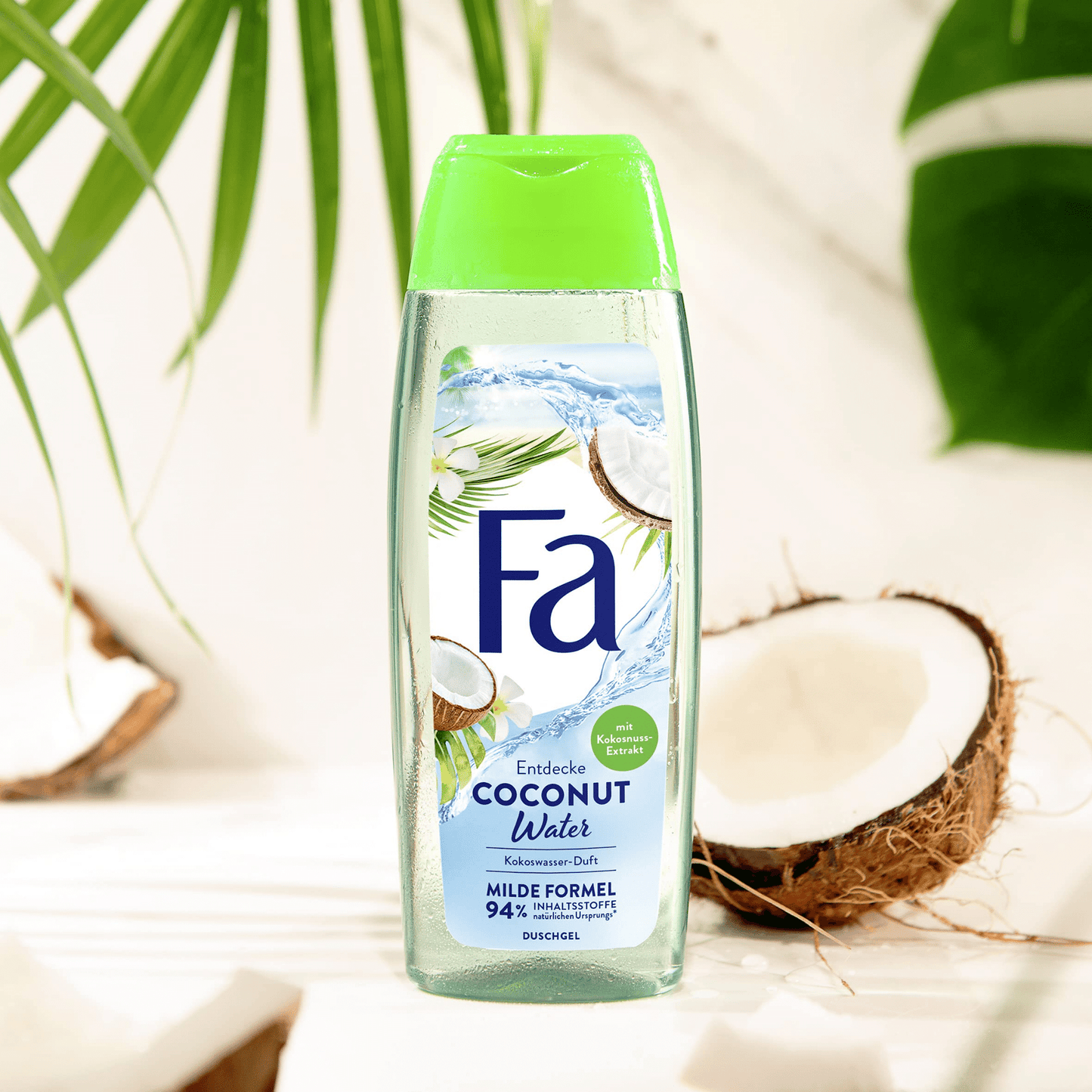 Fa Explore Coconut Water Scent Shower Gel (250ml) - wellkart