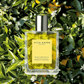 Acca Kappa Green Mandarin Acqua Di Colonia (100ml) - wellkart