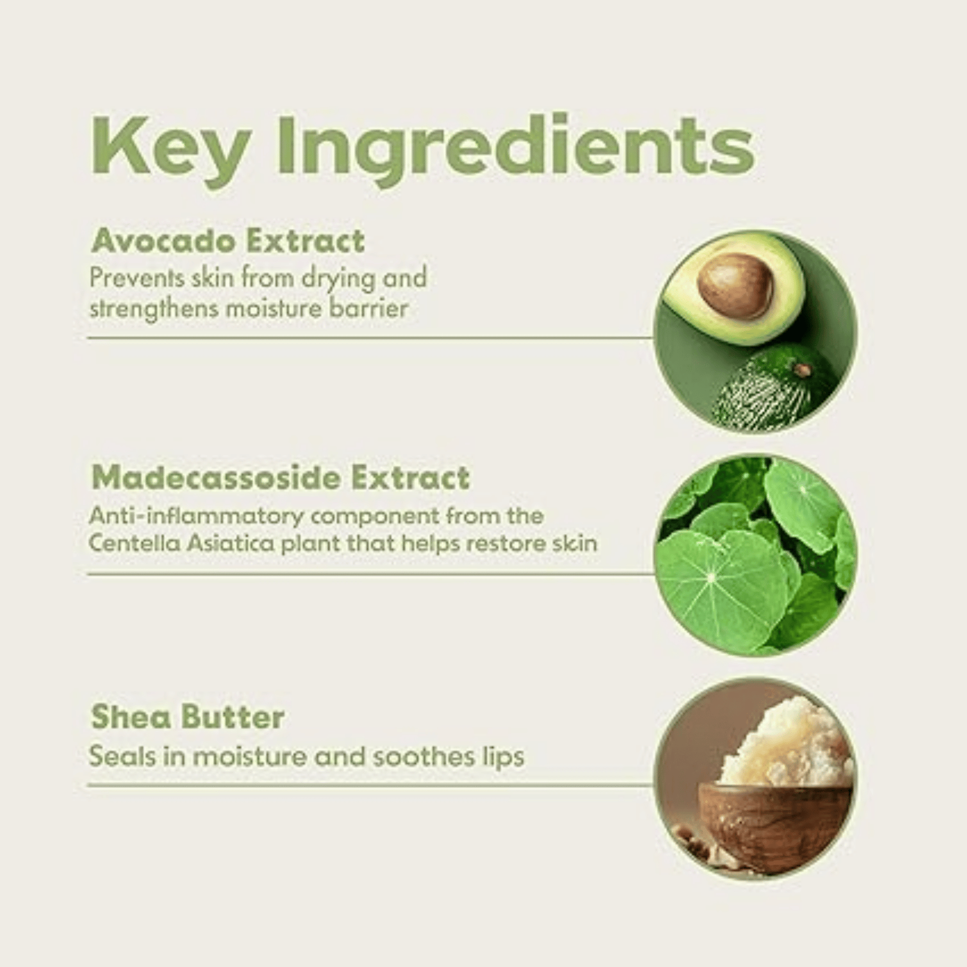 Frudia Avocado Cica Relief Lip Balm (10ml) SkinStash