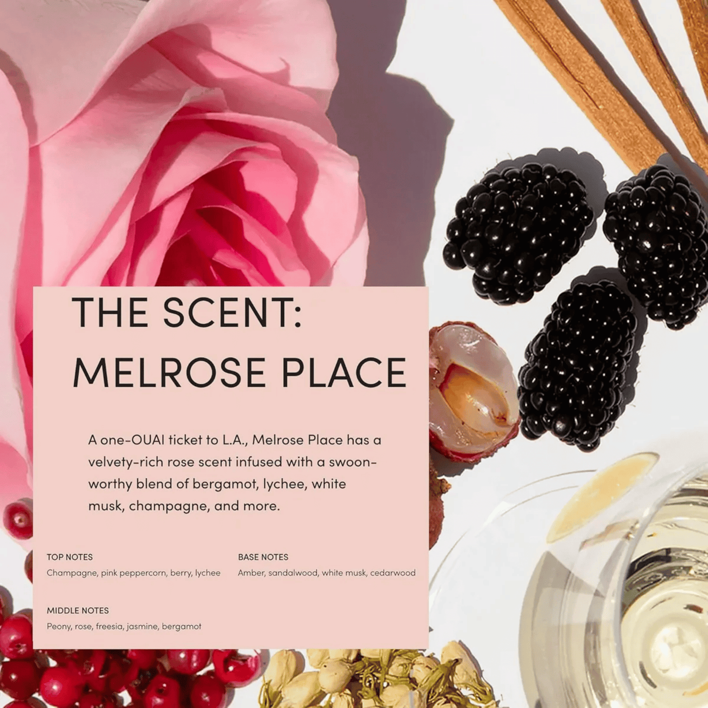 OUAI Super Dry Shampoo (56g) SkinStash