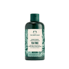 The Body Shop Tea Tree Purifying & Balancing Conditioner (250ml) SkinStash