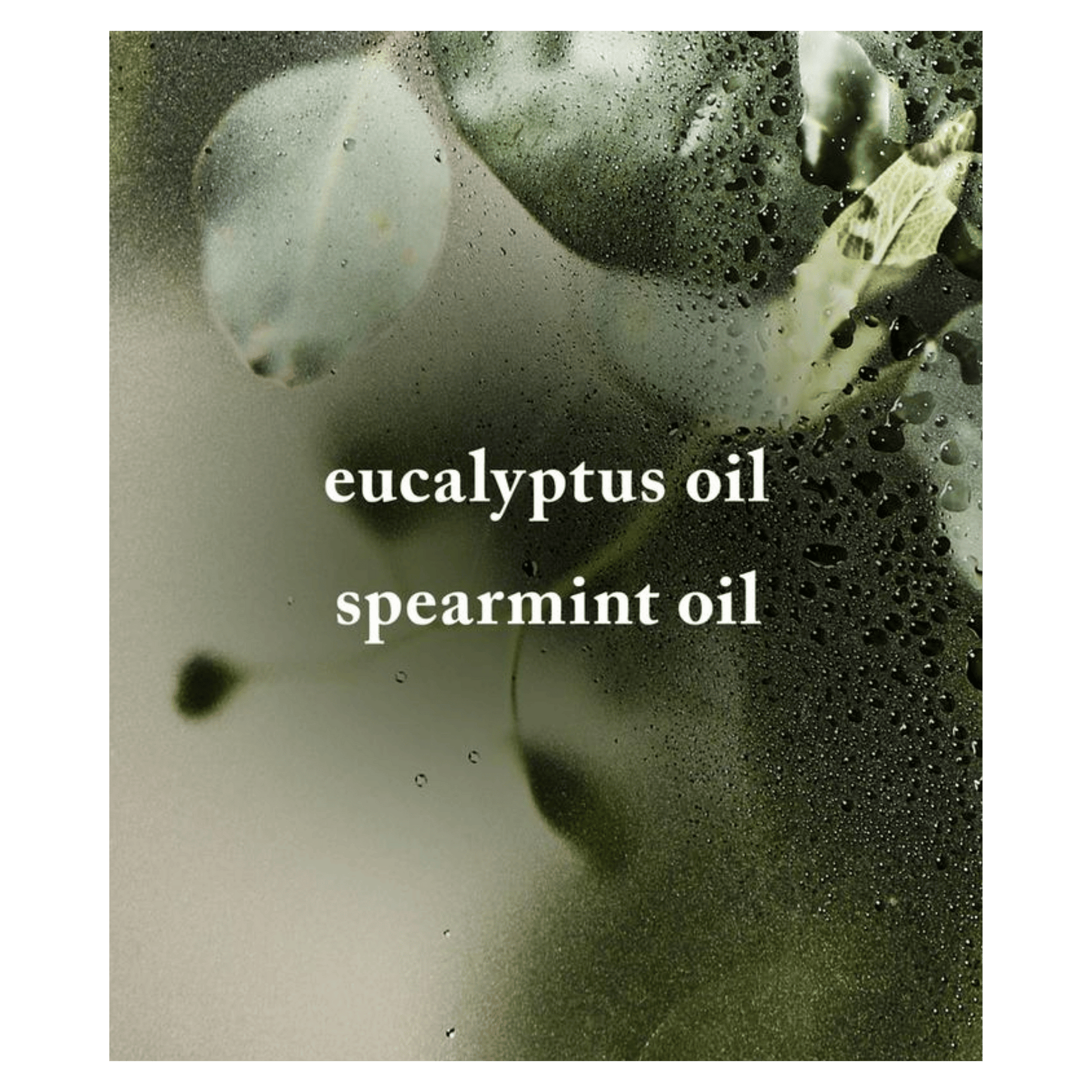 Bath & Body Works Eucalyptus Spearmint Sugar Body Scrub (368g) SkinStash